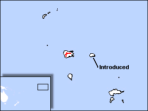 Range Map for Marquesan Imperial-pigeon