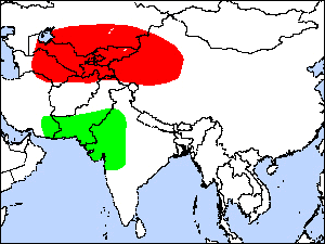 Range Map for Pale-backed Pigeon
