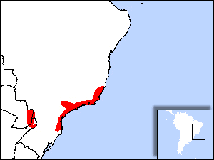 Range Map for Purple-winged Ground-dove